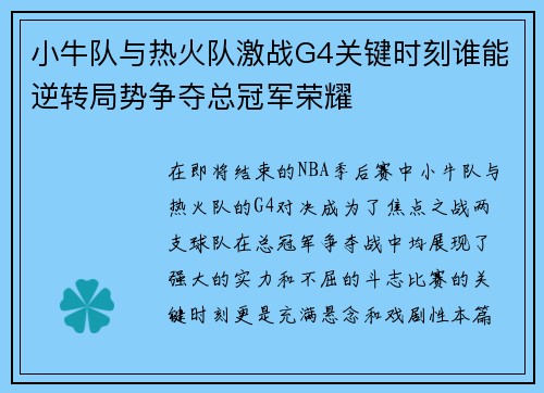 小牛队与热火队激战G4关键时刻谁能逆转局势争夺总冠军荣耀